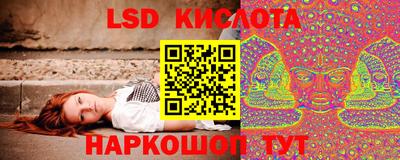 сатива Новодвинск
