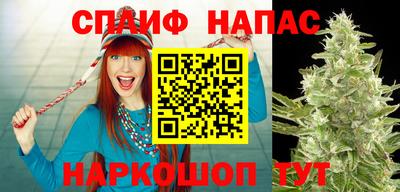 MDMA Новозыбков