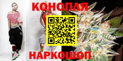гашик Новокубанск
